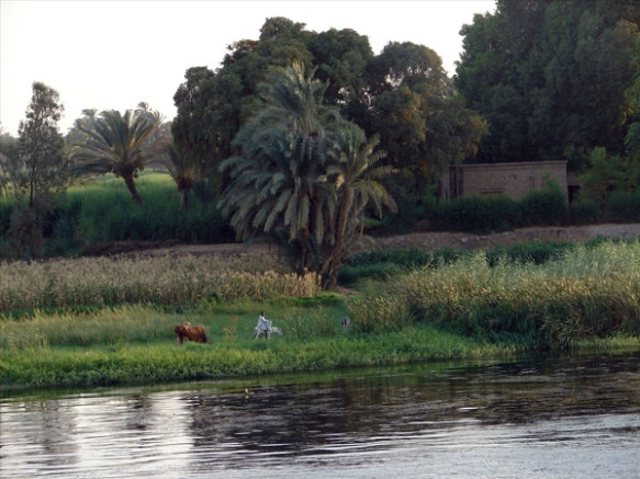 banks of the Nile, photo by Jason Hedrick
