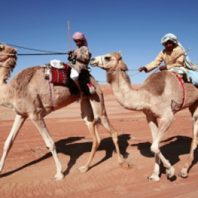 camel races, Wahiba Sands, photo courtesy of Elite Tourism, Oman