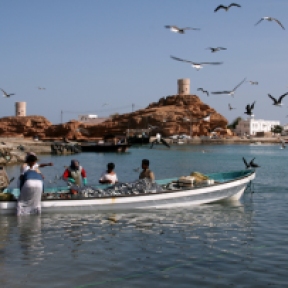 Sur, Oman, photo courtesy of Elite Tourism