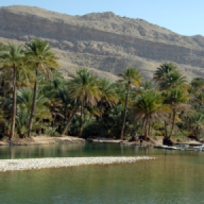 wadi, Oman, photo courtesy of Elite Tourism