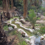 falaj irrigation in Misfat Al Abryeen, Oman, photo courtesy of Elite Tourism